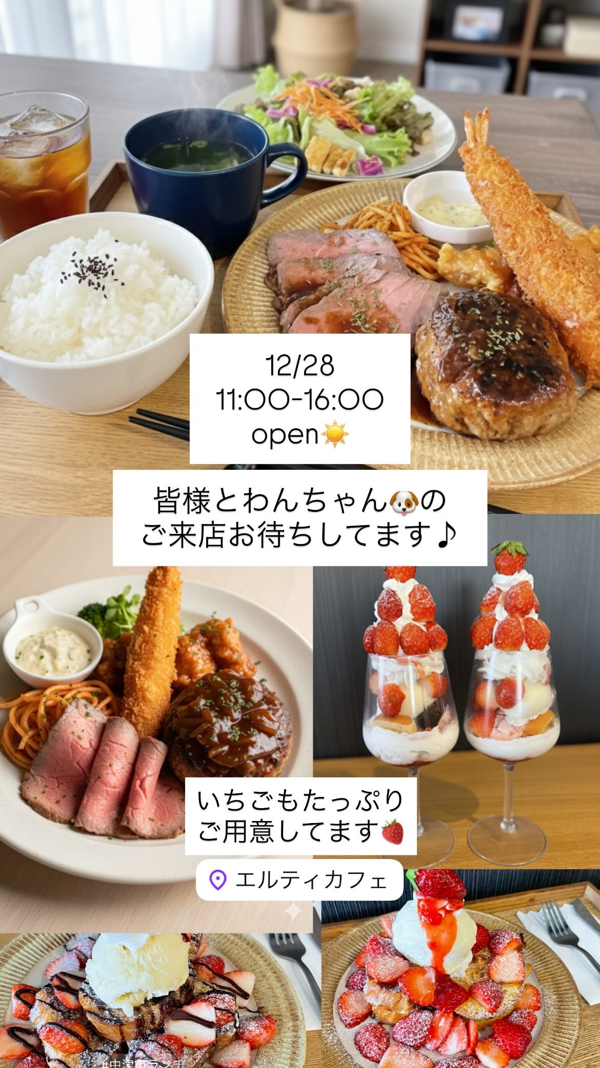 12/28 11:00-16:00open！