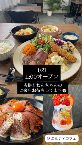 1/21  11:00オープン