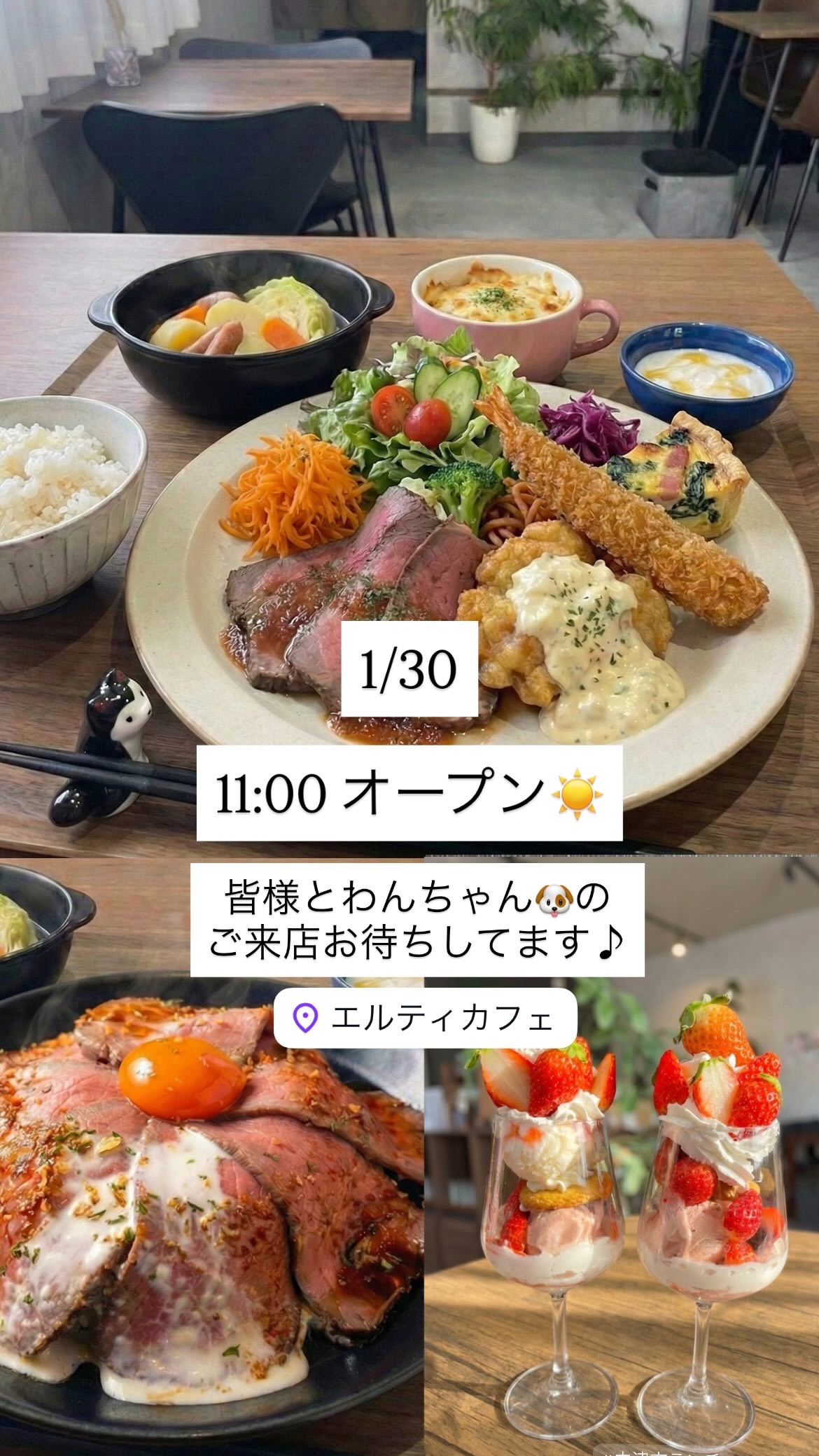 1/30  11時オープン☀️
