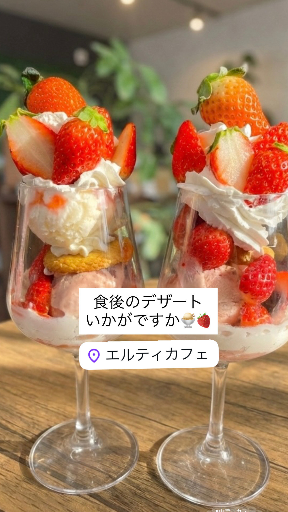 2/17  11時オープン