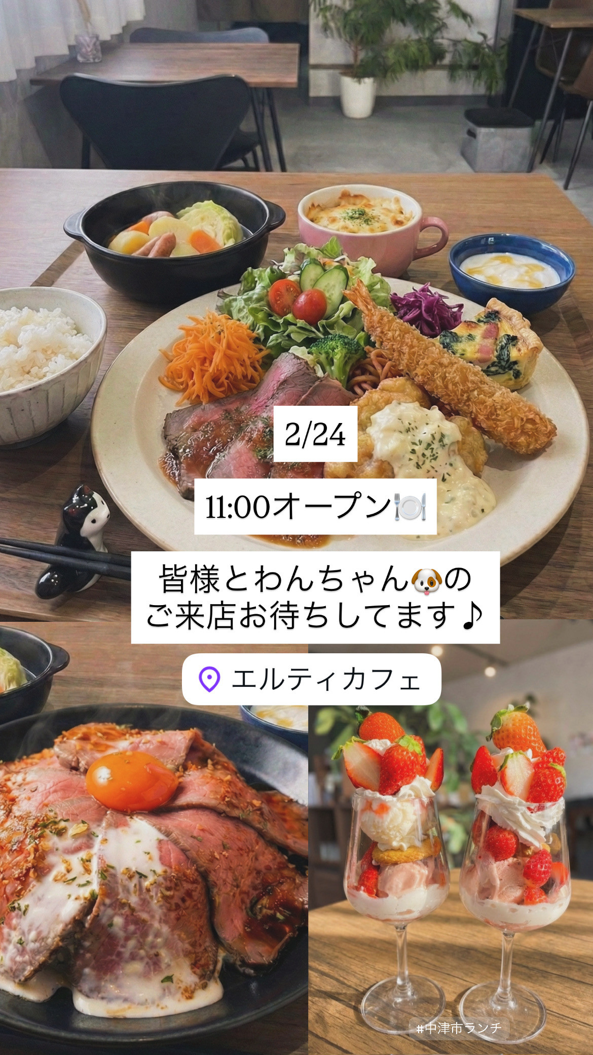 2/24  11時オープン✨