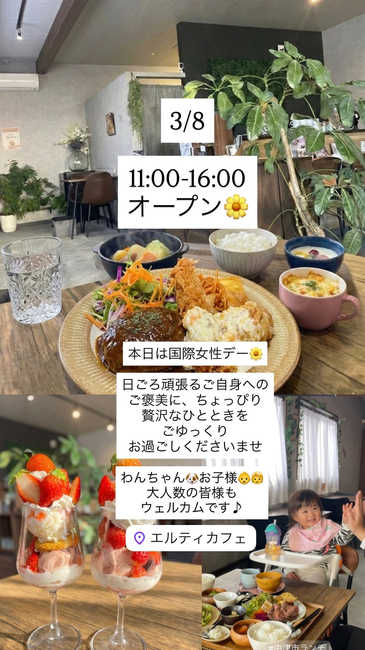 3/8  11時-16時オープン！　本日は限定ハンバーグランチデー