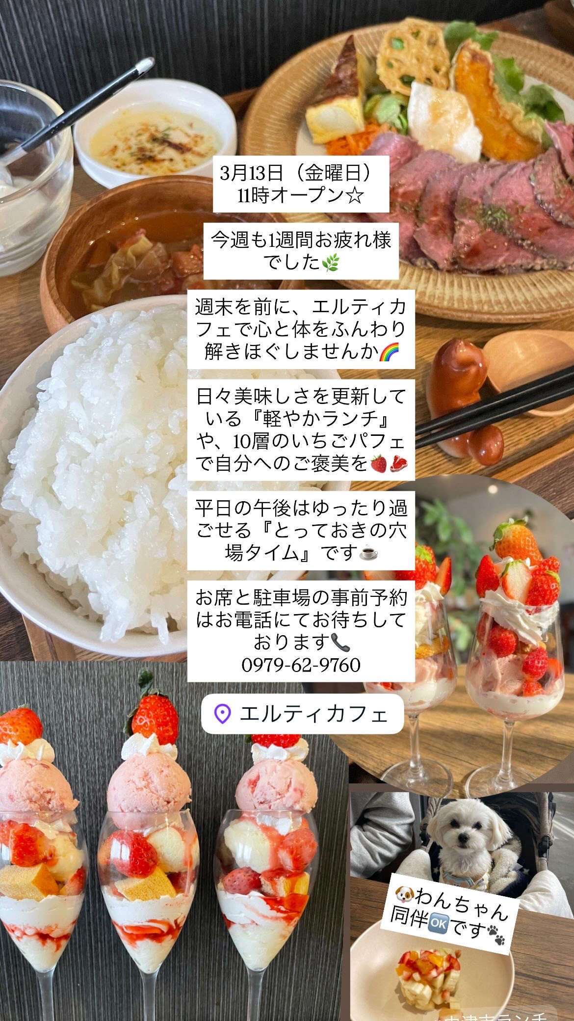 3/13 11時オープン　軽やかランチリニューアル！