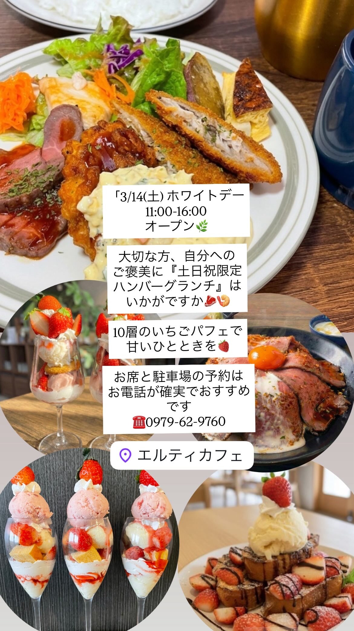 3/14 11:00-16:00オープン🌿