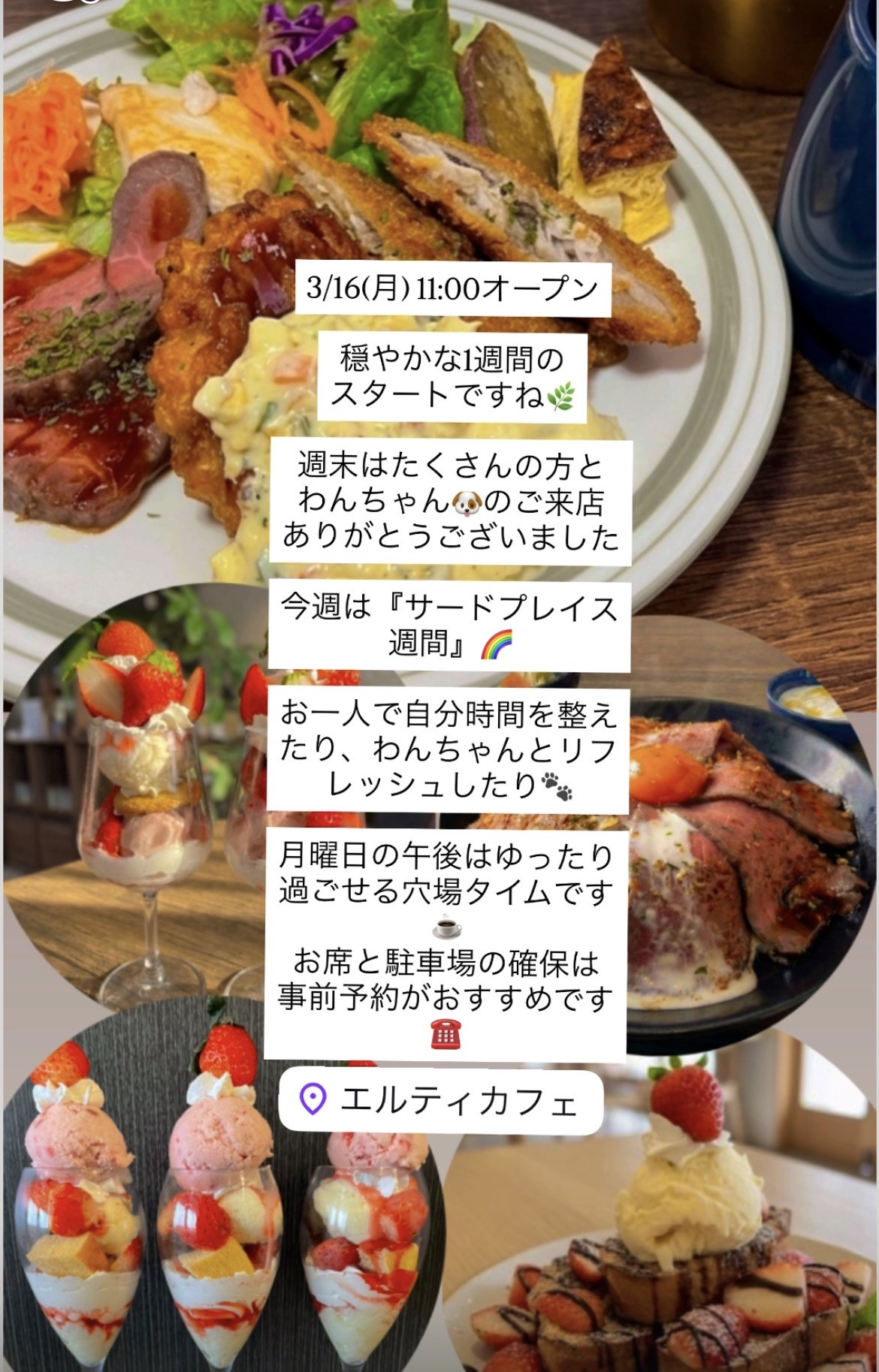 3/16  11:00オープン