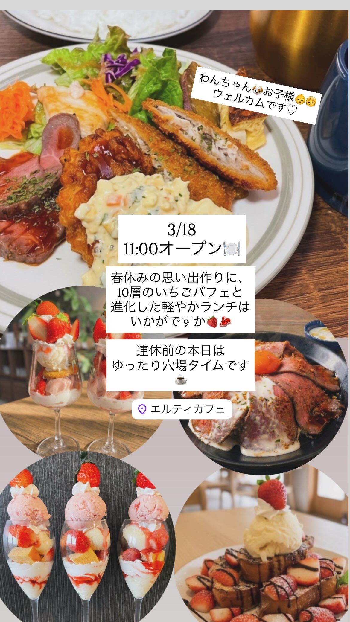 3/18  11:00オープン🌿