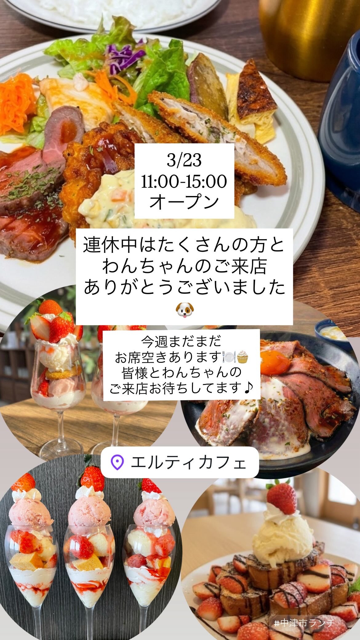 3/23  11:00-15:00open！