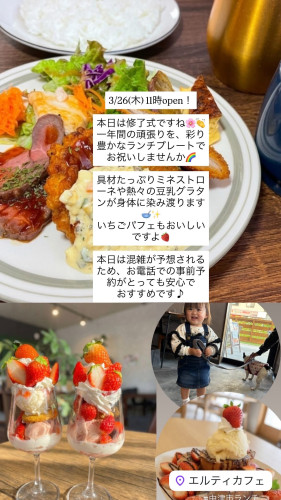 3/26  11時オープン！