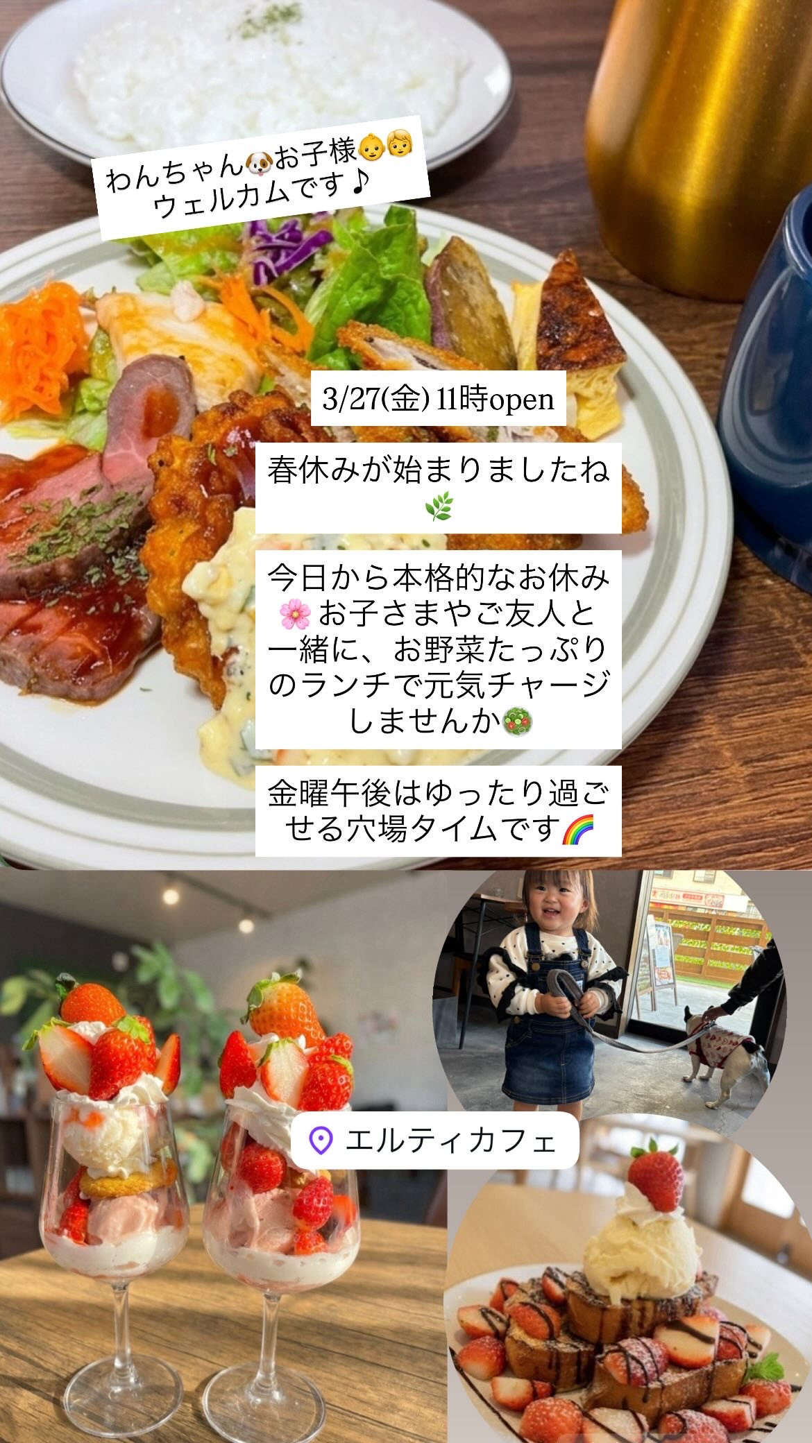 3/27  11ー15時オープン