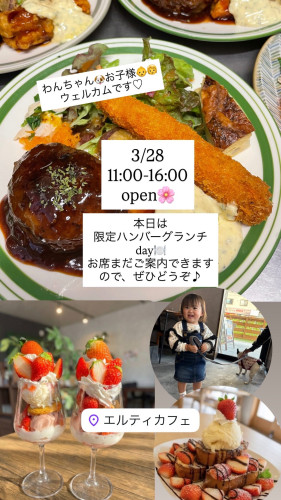 3／28  11:00-16:00オープン！