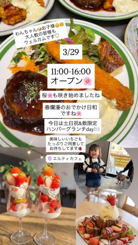 3/29  11:00-16:00open🌸