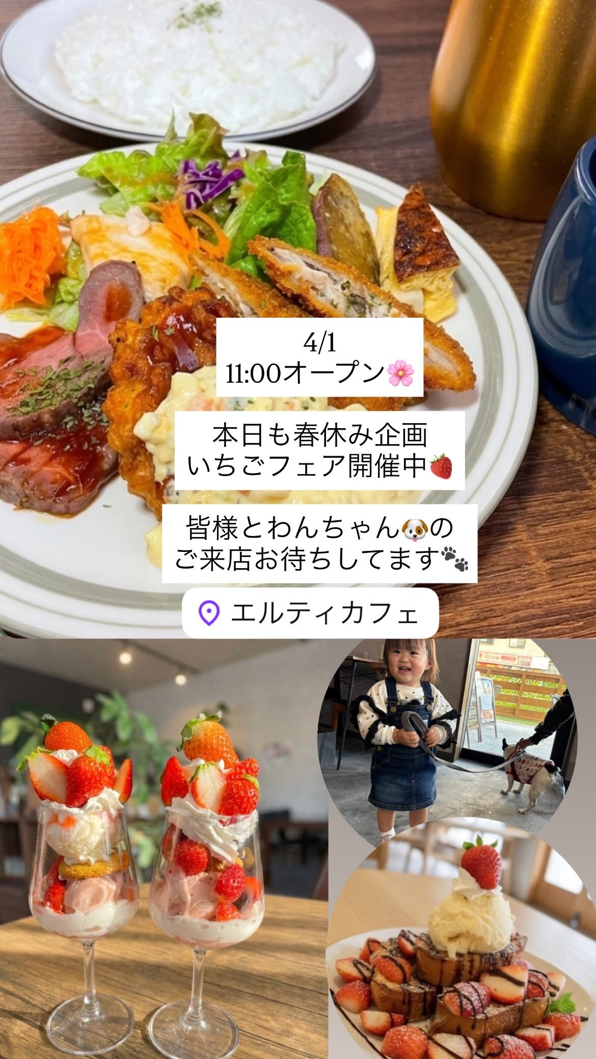 4/1 11:00オープン🌸
