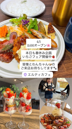 4/1 11:00オープン🌸