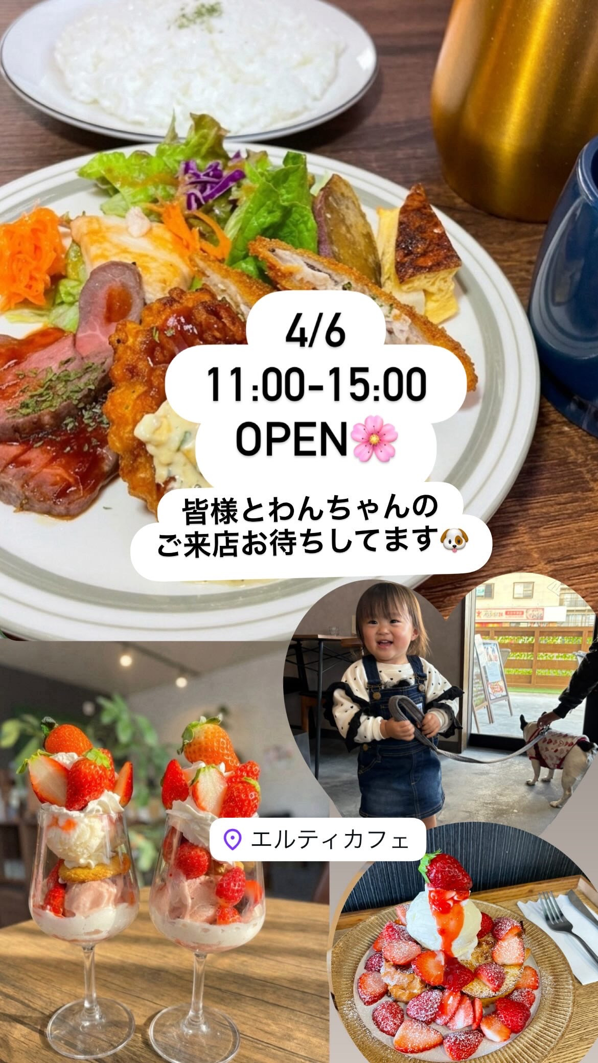 4/6  11時オープン🌸