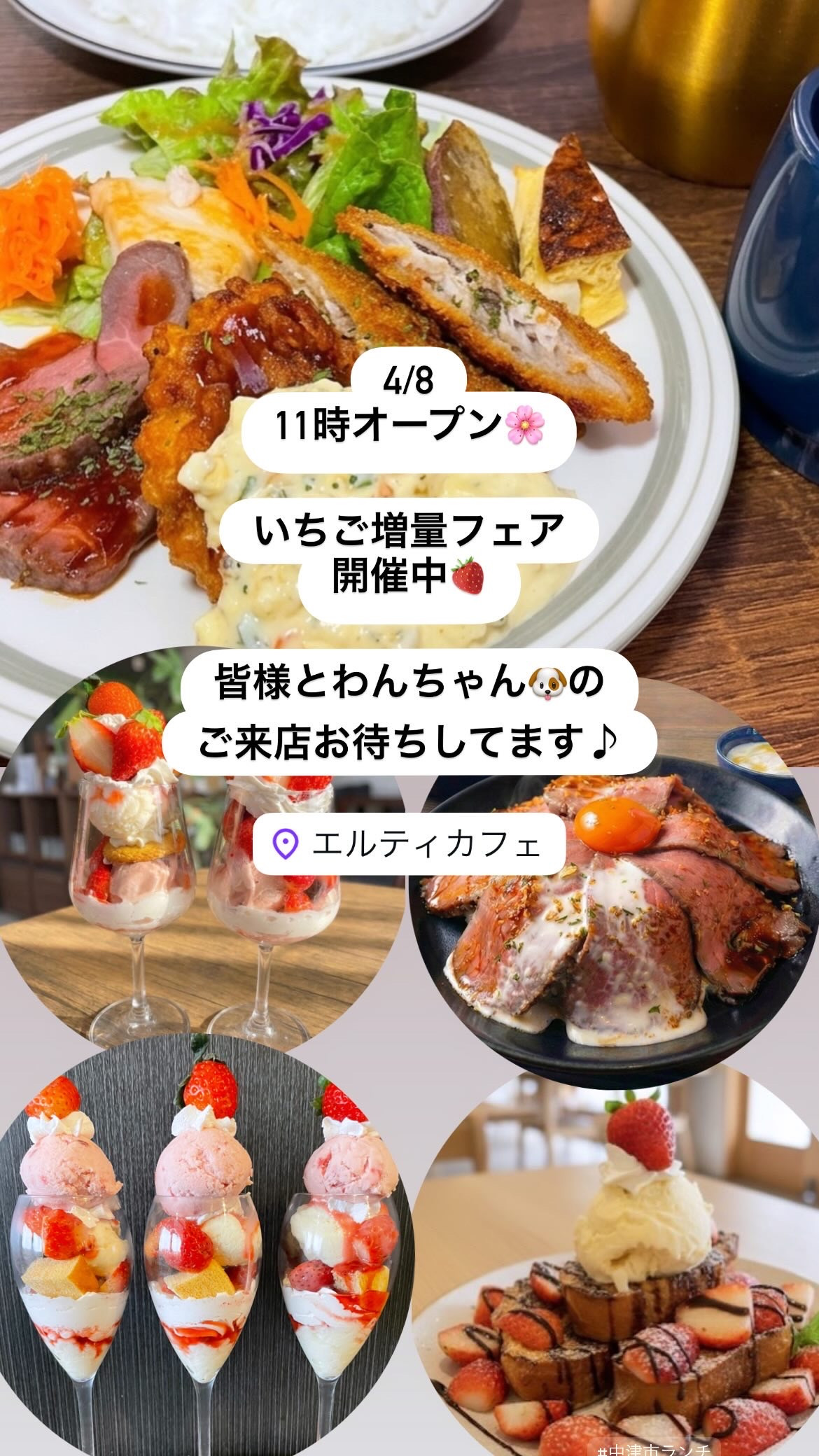 4/8 11時オープン🌸