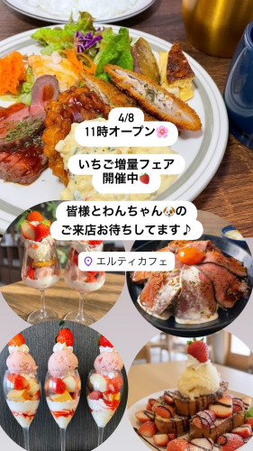 4/8 11時オープン🌸