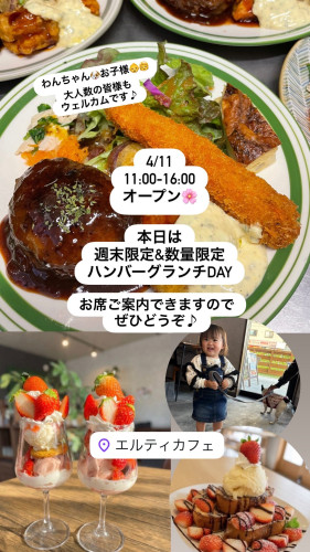 4/11  11時-16時オープン