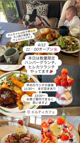 4/12  11:00-16:00open！