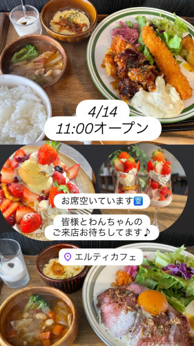 4/14 11時オープン！