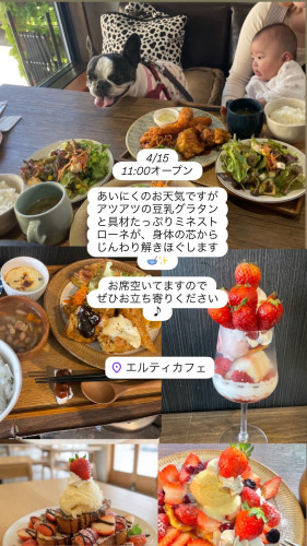 4/15 11時オープン✨