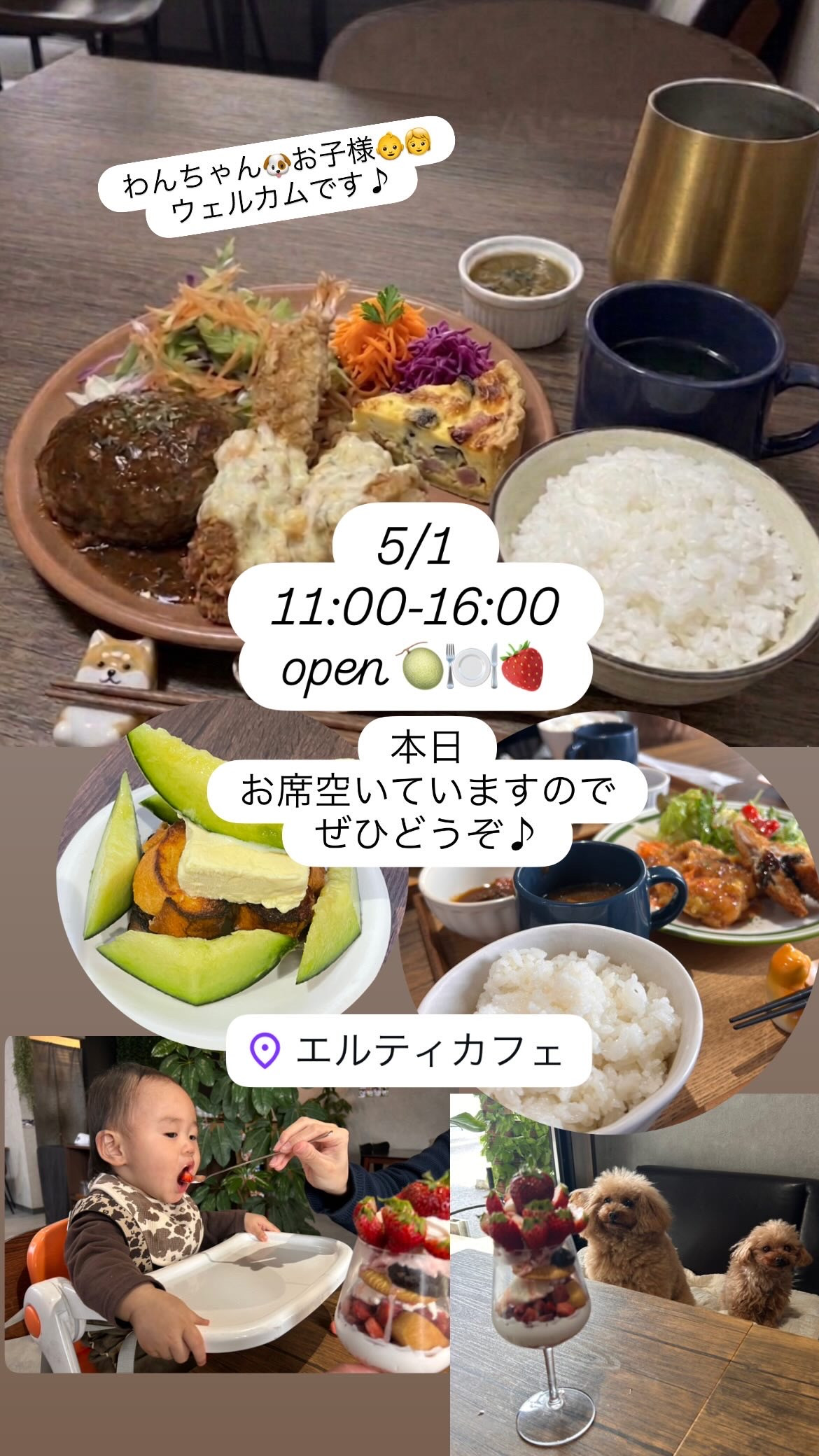 5/1 11:00-16:00open！ランチ&デザート新メニュースタート！