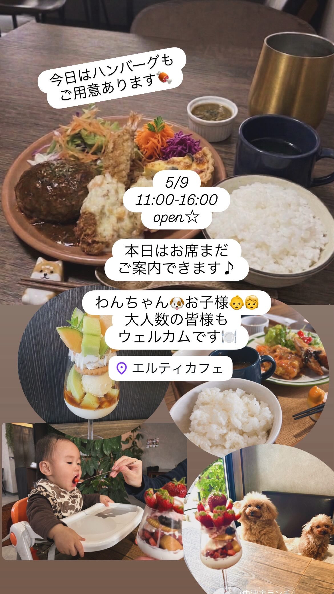 5/9 11:00-16:00オープン！