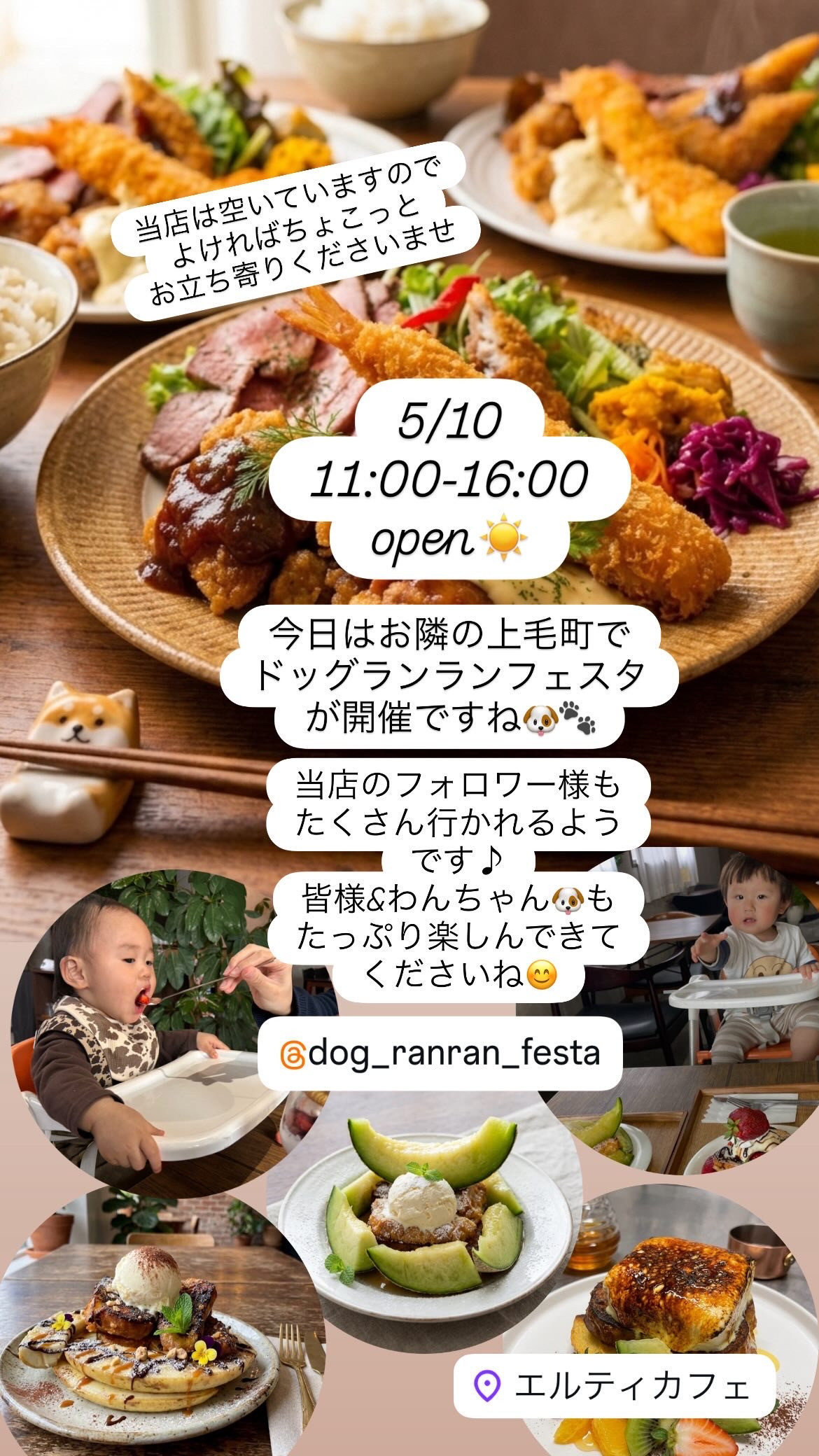 5/10 11:00-16:00open 上毛町でドッグランランフェスタ開催です🐶