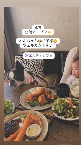 6/5 11時オープン！本日はシーフードがおすすめ🍤🐟