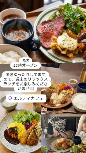 6／6  11時オープン！