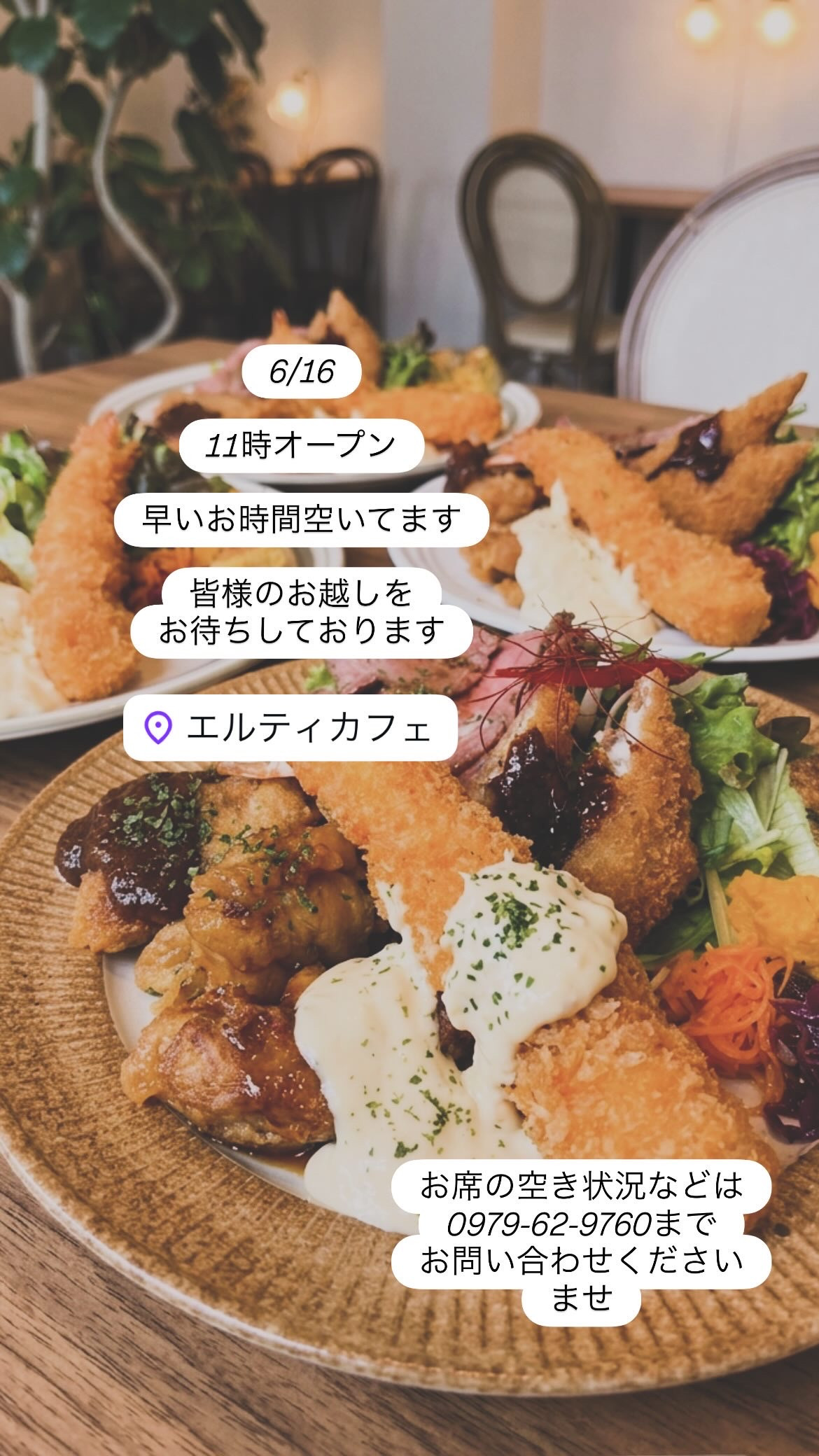 6/16 11時オープン！