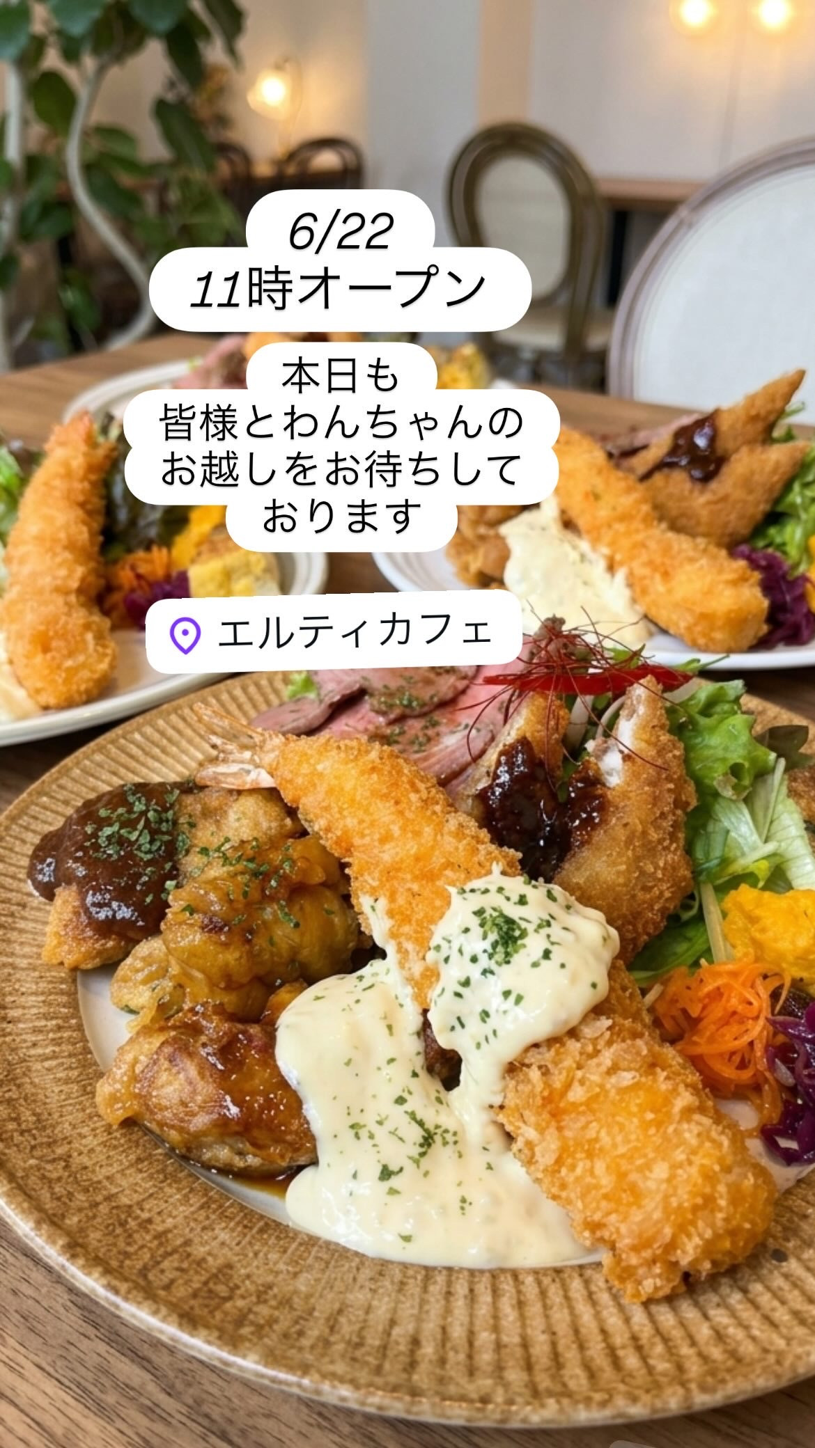 6/22  11時オープン！今週もよろしくお願いします🤲