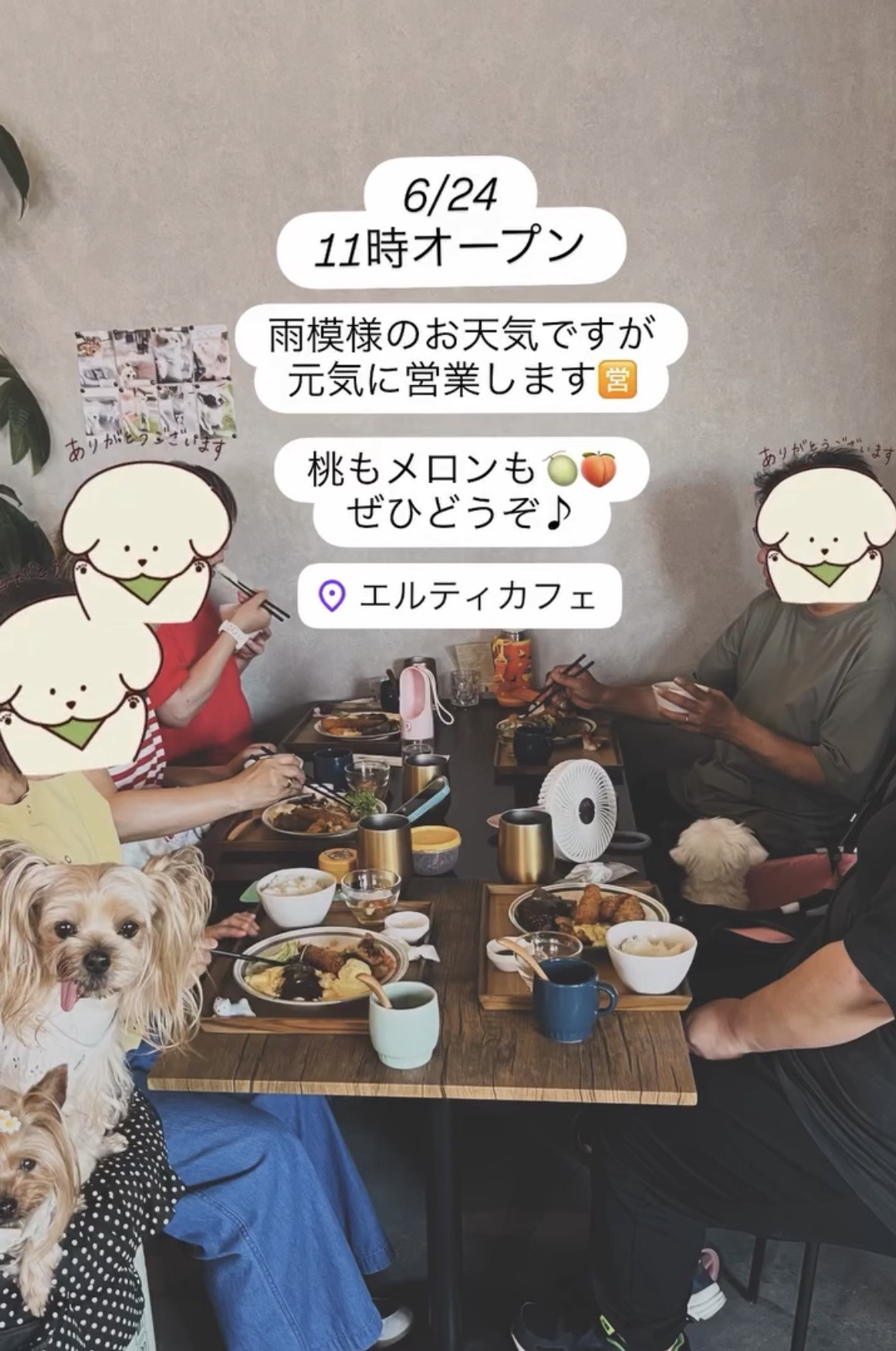 6/24 11時オープン！