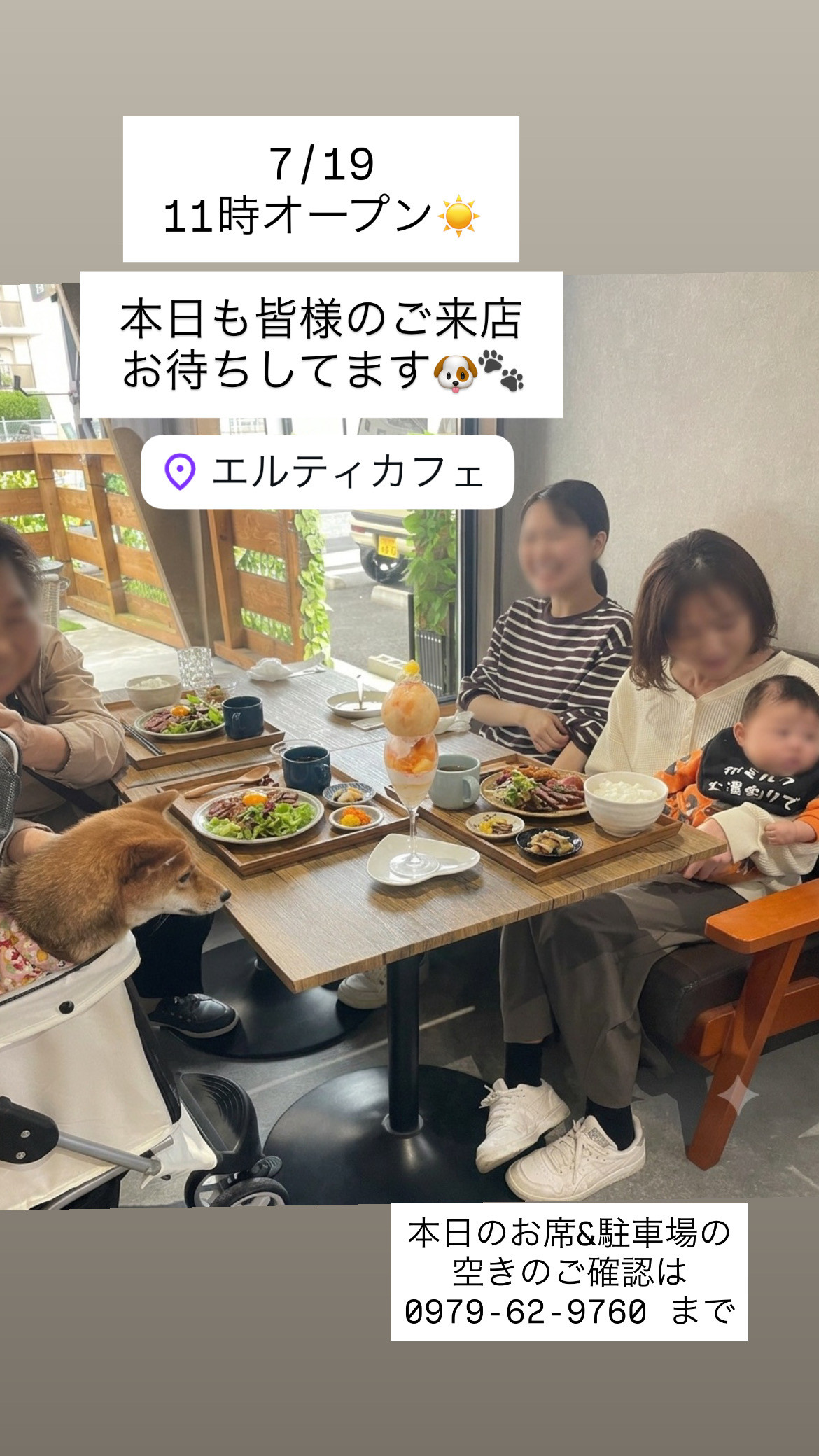 7/19 11時オープン🌻　本日のお席空き情報