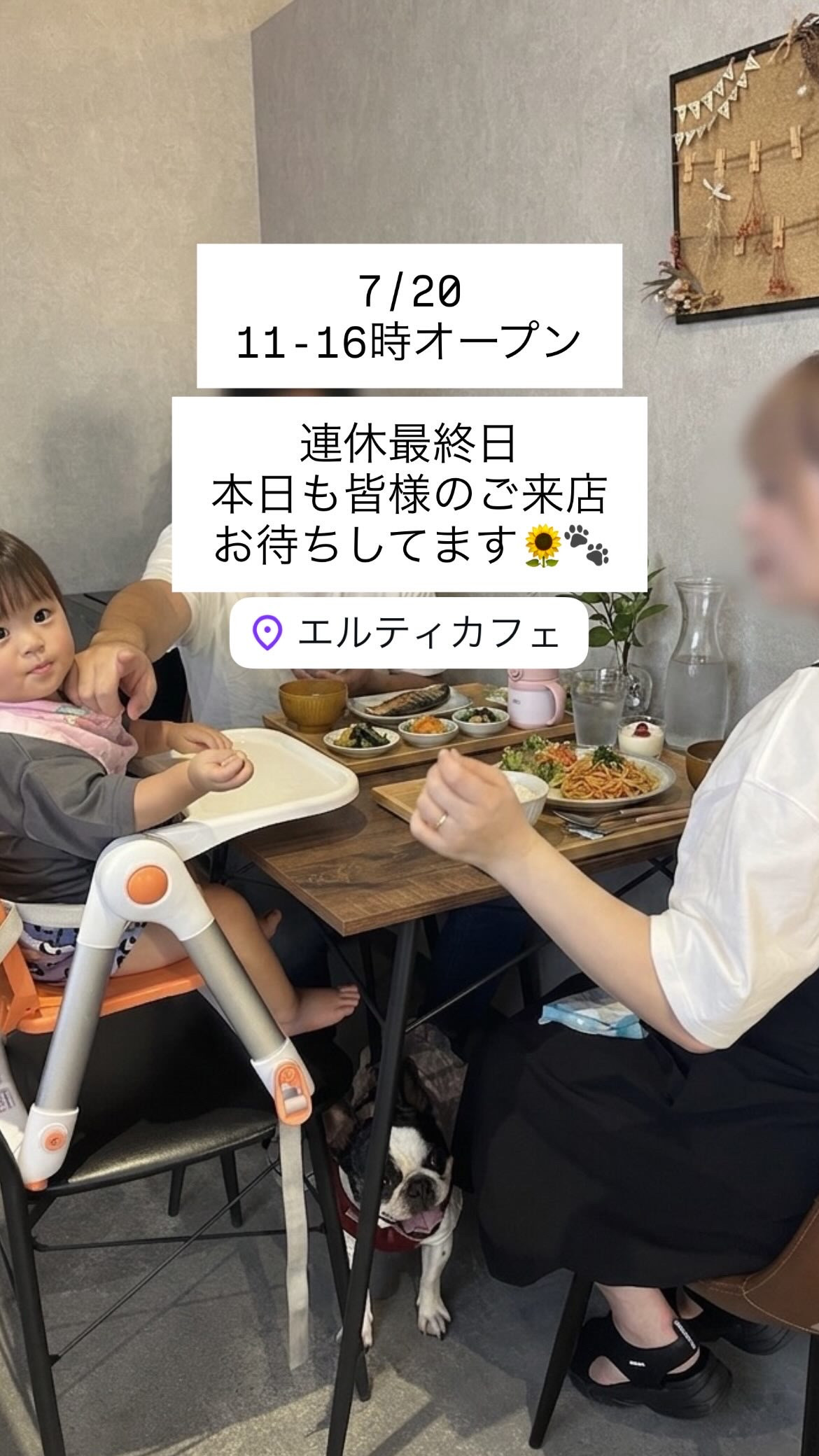 7/20 11-16時オープン！