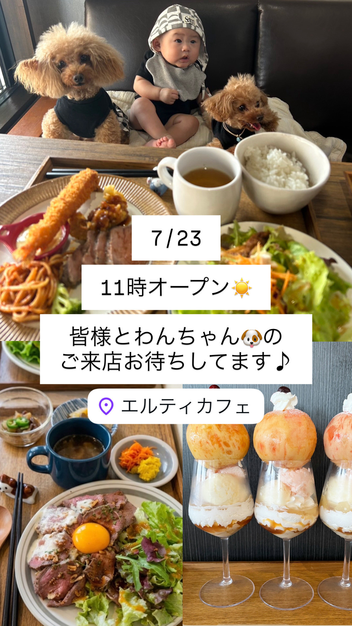 7/23 11時オープン　今週の営業スケジュール