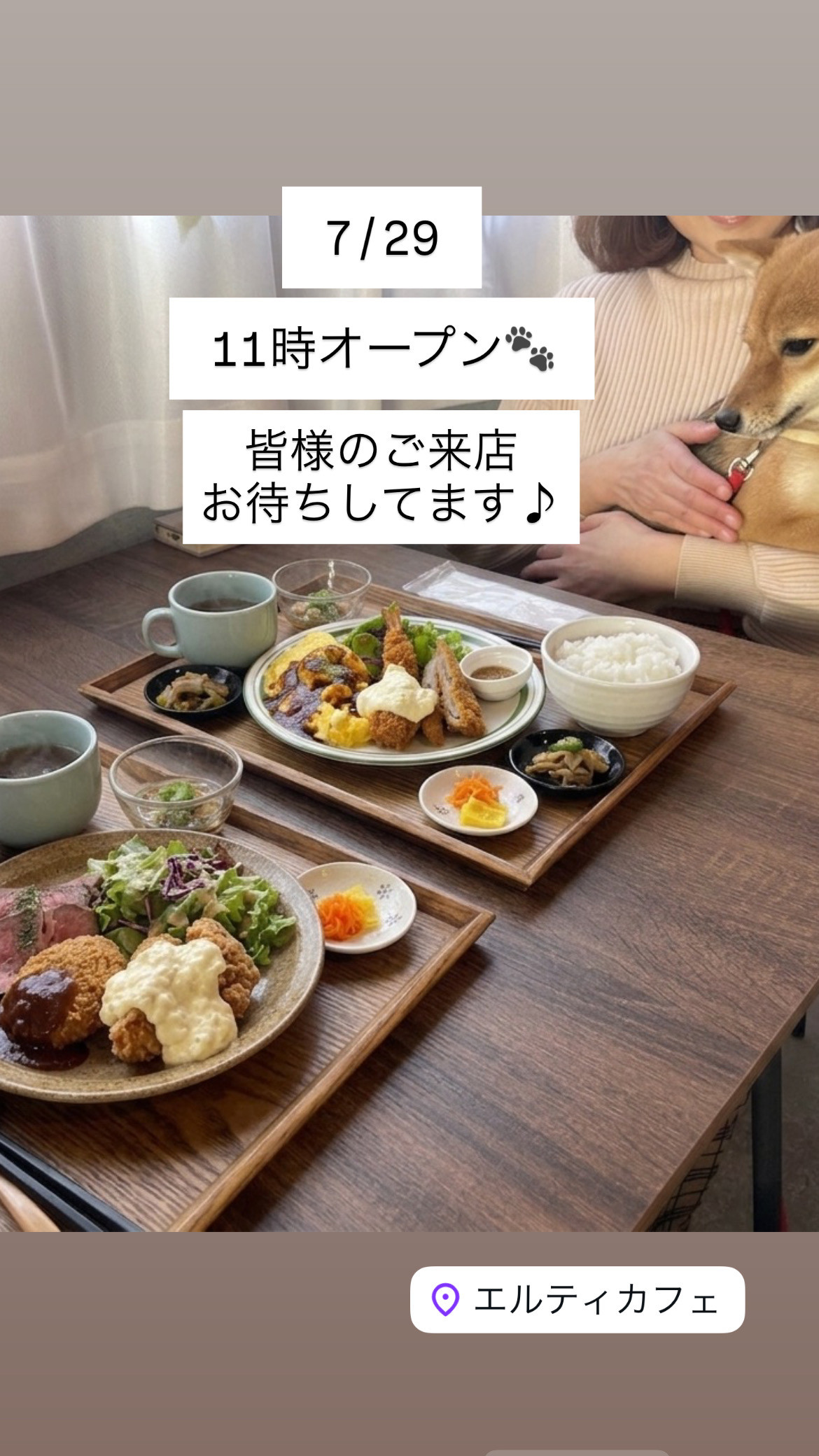7/29 11時オープン　こちらのHPは7/31までになります