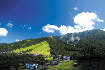 大山グルメ食道って?