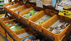 shop-meguminosato-02.png