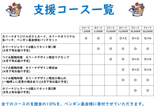 carina支援コース一覧表.jpg