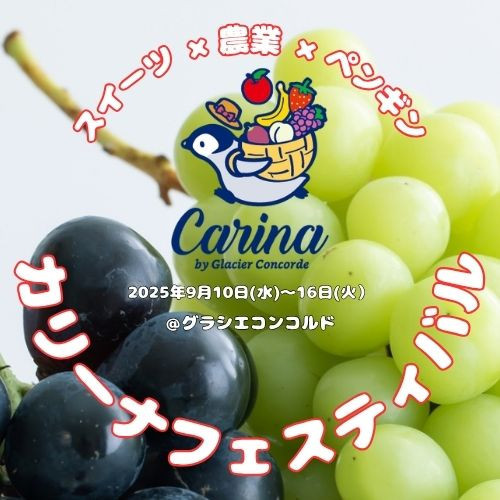 【予告】第２回　カリーナフェスティバル開催決定🎉