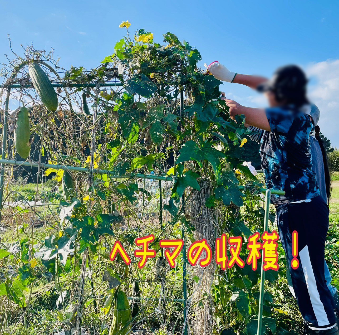 LINE_ALBUM_ルクラ_250930_87.jpg