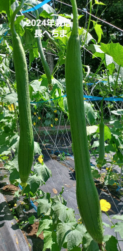 20240818_111954.jpg