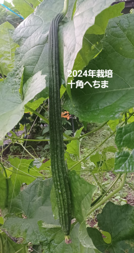 20240815_175109.jpg