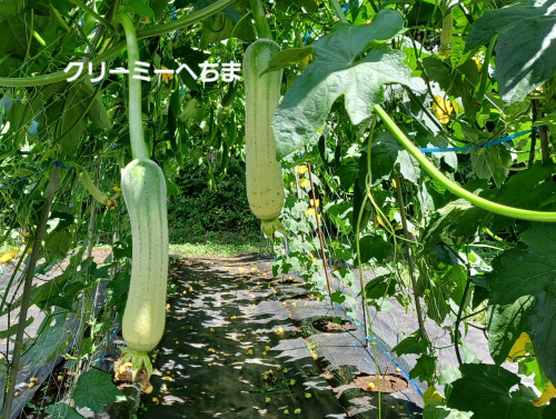 20240826_123343.jpg