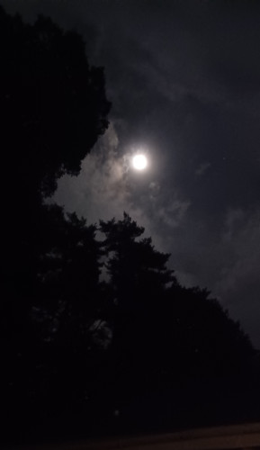 20241015_202952.jpg