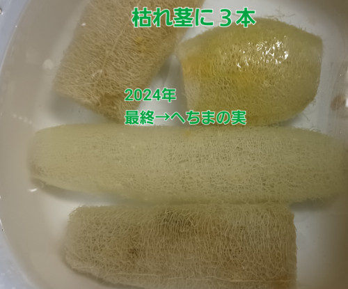 20241112_231501.jpg