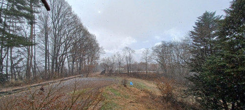 20241208_101824.jpg