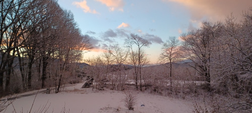 20250128_065408.jpg