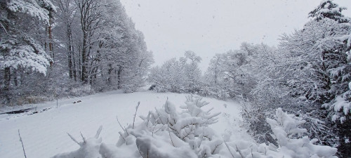 20250316_095139.jpg