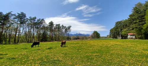 20250503_130640.jpg